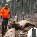 Tugaizi 2 Packs of Rattle Bags Buck Call, Authentic Antlers Rattling Sound, Deer Call for Whitetail Bucks Deer Hunting, Bonus Two Waterproof Storage Bags