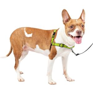 PetSafe Easy Walk Deluxe Dog Harness, No Pull Dog Harness  Perfect for Leash & Harness Training  Stops Pets from Pulling and Choking on Walks  Medium, Apple (Medium (Pack of 1))