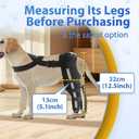 Double Dog Knee Brace for Torn Acl Hind Leg, Double Dog Leg Braces for Back Leg for Support,Acl Brace for Dogs, Built-In Hard Metal Spring Support,Outer Night Reflective Strip,Adjustable Strap (Small)