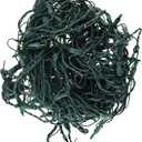 Holiday Wonderland 150 Ct Green Net Light Set 562134 Christmas Lights Net Lights/Tree Wrap