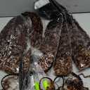 Goddess Box Braids Crochet Hair With Curly Ends 12 Inch Bohomian Box Braids Crochet Braids 8 Packs 3X Crochet Braids Synthetic Braiding Hair Extension for Black Women (12 Inch (Pack of 8), T1B 30 33)