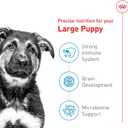 Royal Canin Size Health Nutrition Large Puppy Dry Dog Food, 30 lb Bag (EXP 07/13/26)