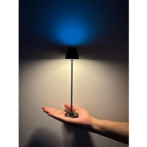 Timjorman RGB Palm-Sized Cordless Table Lamp, Rechargeable Touch Metal Bedside Lamp, 3 Brightness 3000K Warm Light, Small Table Lamp for Bedroom, Restaurant, Patio, Camping (Black 1 Pack)