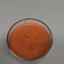 Cande-Lite 14 Oz Pumpkin Spice Candle