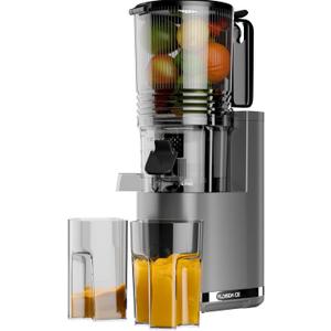 Cold Press Juicer, 5.4" Wide Feed Chute Juicers with 350w Power Motor, Slow Masticating Juicer Machine with High Juice Yield for Whole Vegetables & Fruits, Easy to Clean, Black Gray