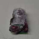 SIR7 Men's Linen Casual Classic Fit 11 Inch Inseam Elastic Waist Shorts with Drawstring (X-Large, Wine)