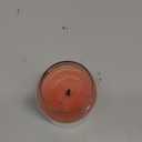 Yankee Candle Original Classic Large Jar Single Wick Candle 22 oz Pink Sands
