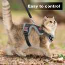 5 x Cat Harness and Leash for Walking, Retractable Cat Harnesses and Leash Set Escape Proof, Breathable Soft Kitten Small Large Harness for Travel Training and Walking, Black, XXS (XXS(chest:8.1"-13.0"))