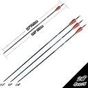 28"/30"/32inch Carbon Arrow Practice Hunting Arrows with Removable Tips for Compound & Recurve Bow(Pack of 12)