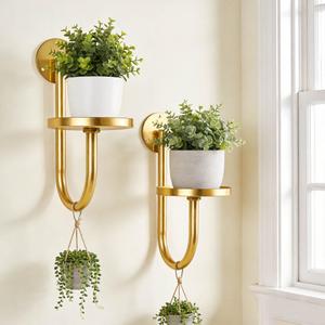 Wall Plant Holder Set of 2 for Outdoor, Metal Hanger | Floating Flower Display Stand for Window, Space Saving & Easy to Assemble (Pots/Plants Not Included),Golden