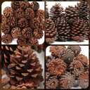25 Pcs Large Natural Pine Cones for Crafts, 3" to 4" Tall Pine Cones Craft for Christmas, Table, Home Decor, Vase Fillers, Desk & Christmas Trees, Unscented Pinecones Crafts Ornament for Decorating