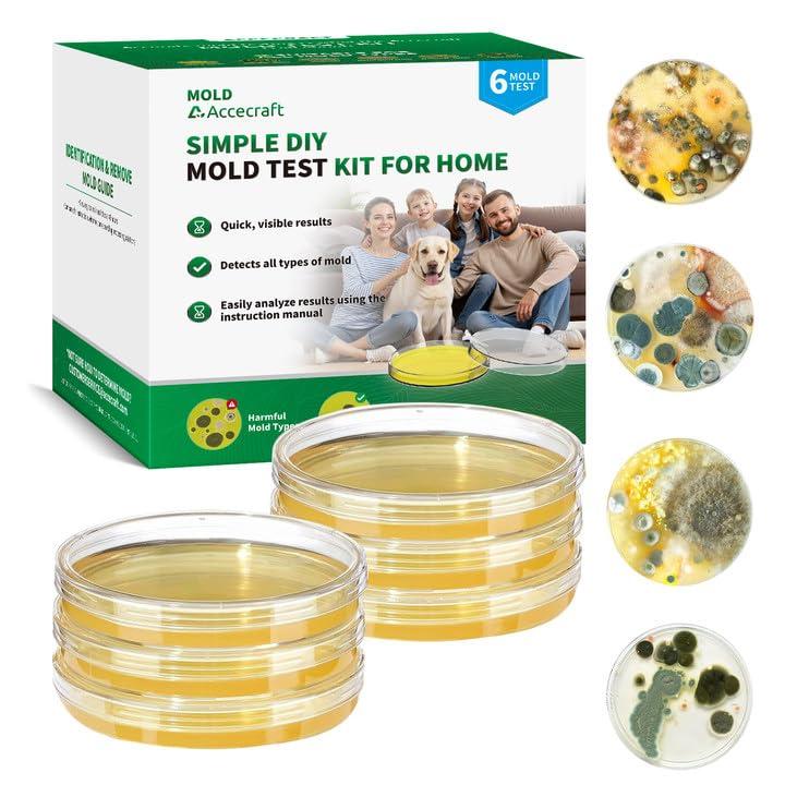 Mold Test Kit for Home - 6 Simple Mold Test kit,Test HVAC System,Surfaces & Indoor Air Quality,DIY Mold Detector at Home,Includes Detailed Mold Identification Guide,air Tester