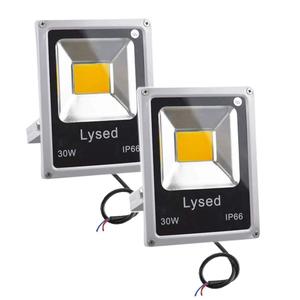 Lysed 12 Volt Flood Light Bowfishing Lights 30W Low Voltage Flood Lights Outdoor IP66 Waterproof (Warm Light 2Pack)