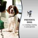 Nature's Miracle Advanced Platinum No More Marking, Helps Discourage Repetitive Dog Marking, 24 oz