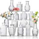 Glass Bud Vase Set of 16, Small Flower Vases, Glass Vases for Centerpieces, Vintage Home Table Decorations Bud Vases (16 Pcs, Clear)
