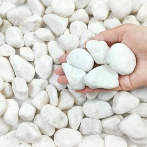 40 lbs White Rocks for Landscaping, 1-2 Inch White Gravel. Decorative Pebbles Stones for Plants, Vases, Aquariums, Craft and Garden