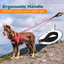 PetBonus Two Point Control Dog Leash, Works with No Pull Harnesses, No Tangle Training Leashes, Soft Padded and Reflective Walking Lead, Converts to Single Lead for Medium Large Dogs (Pink), 4 Feet