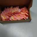 20pcs Pink Orange Color PU Real Touch Lifelike Artificial Hawaiian Plumeria Frangipani Flower Detachable Flower Stems Wedding Home Party Decoration