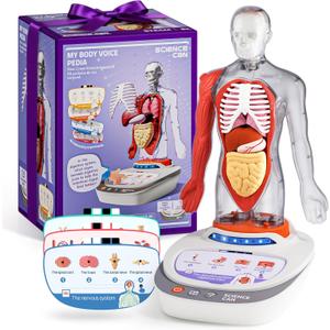 Science Can Human Body Model for Kids, Interactive Human Anatomy Talking Model - 11 Inch Realistic Anatomical Assembly Kit, 15PCS Removable Parts & Guide, Educational STEM Toys Gifts for Kids Aged 6+