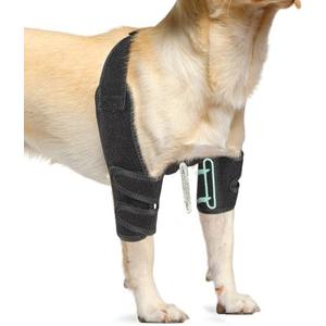 Lyderpet Dog Elbow Protector Brace for Canine Pads Elbow&Shoulder Support Callus, Hygroma, Dysplasia, Arthritis, Dislocation, Pressure Sores, with Metal Splints Wrap Both Left and Right Front Legs, L