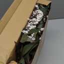 Zeyune 3 Pcs Artificial White Berry Stem Spring Faux Flowers Picks Branches Fake Realistic Sedum Stem Spray for Wedding Holiday Seasonal Farmhouse Mantel Harvest DIY Home Decorations(35 Inch)