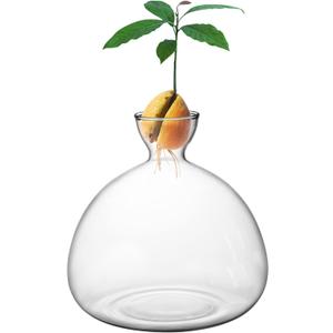 Avocado Tree Growing Kit,Avocado Seed Starter Vase,Glass Plant Pot with Avocado Stickers,Plant Indoor Grow Gardening Gifts