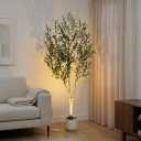 6ft Artificial Olive Tree with LED Light & White Pot - Fake Indoor Plant
943 Vein-Detailed Leaves · 52 Olives · 4ft Wired USB LED with Switch · Moss Included · Shapeable Branches · Zero Maintenance