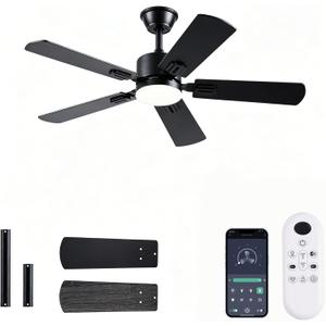 FUMLTP 56 inch Black Ceiling Fans with Lights and Remote/App Control, DC Reversible Motor, Noiseless, Dimmable, 6 Speeds Low Profile Modern Ceiling Fan for Livingroom, Indoor/Outdoor Use