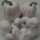 LOMIMOS 12pcs Halloween White Decorative Pumpkins, Assorted Size Artificial Pumpkins for DIY Fall Harvest Thanksgiving Home Decorating Embellishing and Displaying