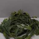 9FT Christmas Garland Norfolk Pine Garland Real Touch Artificial Greenery Garland for Mantle Fireplace Table Indoor Outdoor Holiday Decortions (Dark Green)