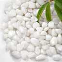 10lb Natural Polished White Pebbles, 1/2 Inch Decorative Rocks