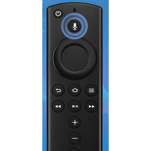 Replacement with Voice Controller 0228