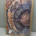 LSXARTQQ Tree Ring Wood Frame Wall Art, Rustic Wabi Sabi Canvas Wall Decor, Navy Blue Orange Gray Wood Grain Nature Art for Living Room Bedroom Bathroom Home Decor (16x24 Inch)