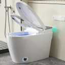 Smart Toilet with Bidet Built in Heated Seat, Smart Tankless Toilet with Warm Water and Dryer, Fahrenheit LED Display, Auto Flush, Foot Sensor