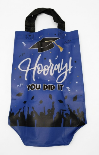 Sweetude 24 Pcs 2025 Graduation Gift Bags with Handles Non Woven Congrats Grad Tote Bags Reusable Party Favor for College Graduation Party Decoration (Blue Black)