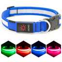 Vizpet LED Dog Collar, Light Up Dog Collar Adjustable USB Rechargeable Super Bright Safety Light Glowing Collars for Dogs(Medium,Blue)