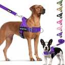 Lukovee No Pull Dog Harness & Leash Set - Heavy Duty Dog Vest Harness with Soft Padded for Medium Large Dogs, Adjustable Reflective Tactical Pet Harness for Easy Walk and Training (L, PU)