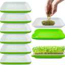 Pack 6 of Seed Sprouter Tray with Drain Holes,Seed Germination Tray Kit BPA Free Nursery,Soil-Free Wheatgrass Sprouter Microgreens Growing Kit (Green-6 Pack)