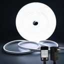 DBFAIRY 33Ft LED Neon Rope Lights, 24V Dimmable LED Strip Lights DIY Flexible Silicone Waterproof Neon Strip Lights for Bedroom Gaming Bedroom Outdoor Decor (Cool White)