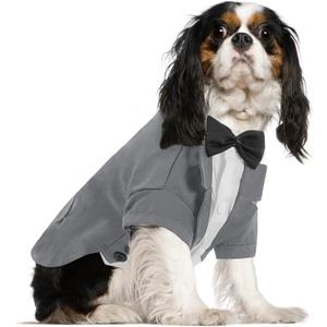 Queenmore Dog Tuxedo, Formal Outfit for Male Dogs, Wedding & Halloween - Pet Tuxedo with Tie, Grey, Medium (Puppy/Cats)