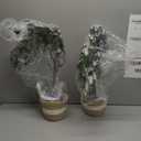 Riceshoot 2 Packs Artificial Olive Tree 3 ft Indoor Faux Olive Tree Tall Fake Silk Plant Potted with Handmade Woven Basket Arbol Artificial for Modern Home Office Living Room Garden Decor