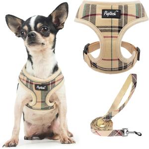 PUPTECK Soft Mesh Dog Harness and Leash Set Pet Puppy Cat Comfort Padded Vest No Pull Harnesses, Beige, XS (XS (NECK: 10", CHEST: 10"-14"))