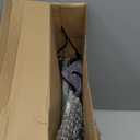 RoundFunny Pilates Ring Circle Set 18 Pcs Exercise Equipment Accessories for Women Workouts Pilates Ball Stretching Strap Magic Circle Yoga Ring Gym Back Bag Resistance Band Anti Slip Socks (Grey)