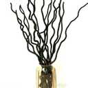 Dried Curly Willow Branches, 21-23 Inch Natural Dried Branch Twigs Decorative Wood Sticks for DIY Crafts, Vases Wedding Home Dcor, Elegant Black