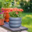 SQOWL Ceramic Pot for Plants - 8 Inch Plant Pot with Drainage Hole Planter for Indoor Plants Outdoor Flower Pot Decorative Plant Pot Unique Planter for Room Decorations Gray