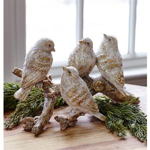 Birds On a Branch