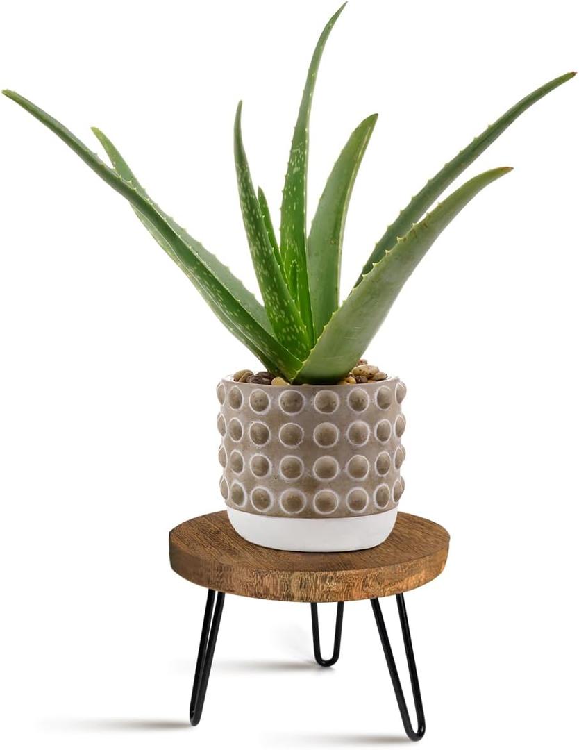 Plant Stand Indoor Outdoor, Wooden plant Stool, Mid Century Plant Stand for Indoor Plants, Wood Modern Plant Holder Rattan Flower, Low Short Boho Rustic Planter Stand Fit 5-15 Inch Pot(M) (Dark Brown)