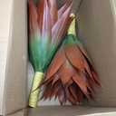 2 Pack Artificial Fall Agave Plants 28 Inch Large Size Faux Succulent Stems Outdoor Decorating Realistic UV Resistant Tropical Plant Plantas Artificiales Decorativas Grandes - 29 Leaves, Red