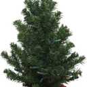 2' Pre-Lit Northern Spruce Christmas Tree with Red Cloth Base  Artificial Holiday Decoration for Home, Table & Mantel (Pack of 1)