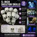 Fun Express White Plastic Realistic Skeleton Skulls 5 Inch for Halloween Party, Bar and Table Decorations, 12 Pack